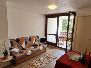 Appartement Saint-Georges-de-Didonne, 2 pièces, 4 personnes - FR-1-550-40